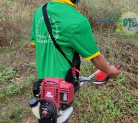 Cắt cỏ tại Bình Dương