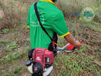 Cắt cỏ tại Bình Dương