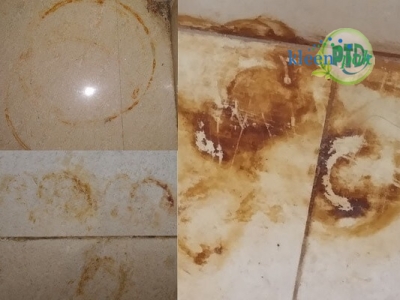 5 Cách tẩy vết ố vàng trên gạch lát nền nhanh chóng và tiết kiệm