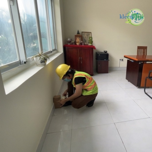 Dịch vụ diệt mối tại Bình Dương