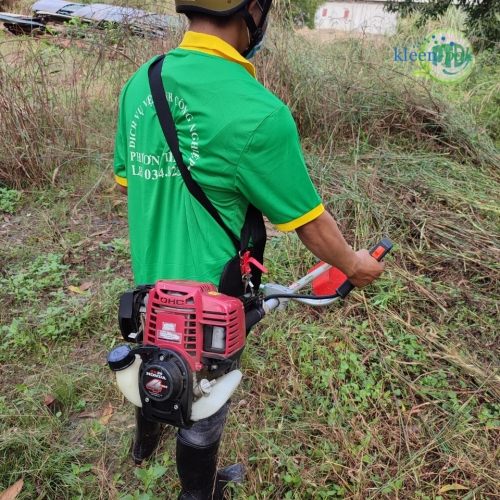 Cắt cỏ tại Bình Dương